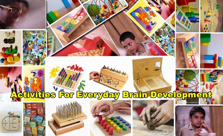 Brain Development